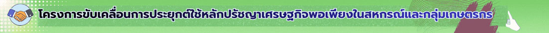 เศรษฐกิจพอเพียง