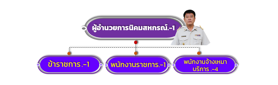 โครงสร้างนิคมฟากท่า