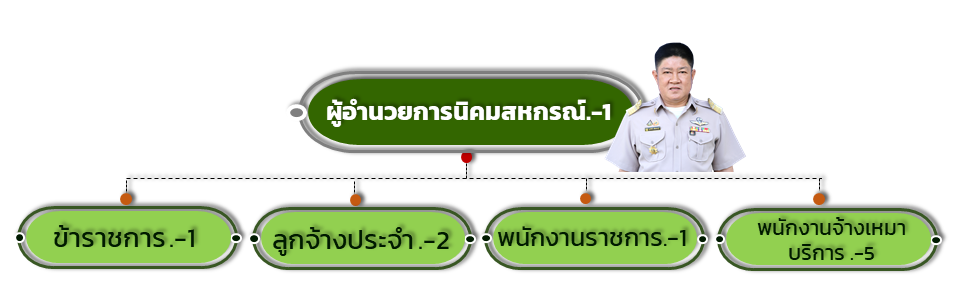 โครงสร้างนิคมพิชัย