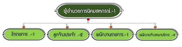 โครงสร้างนิคมพิชัย 66