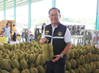 รองอธิบดีฯ ลงพื้นที่ตรวจเยี่ยมสหกรณ์การเกษตรเมืองลับแล ... พารามิเตอร์รูปภาพ 9