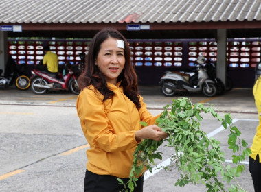 กิจกรรม Big Cleaning Day ประจำเดือน กรกฎาคม 2566 พารามิเตอร์รูปภาพ 7
