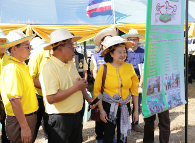 เกี่ยวข้าวของสมาชิกโครงการระบบส่งเสริมเกษตรแบบแปลงใหญ่สกก.เมืองอุตรดิตถ์ จำกัด ... พารามิเตอร์รูปภาพ 7