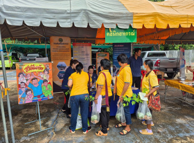 โครงการคลินิกเกษตรเคลื่อนที่ในพระราชานุเคราะห์ พารามิเตอร์รูปภาพ 3