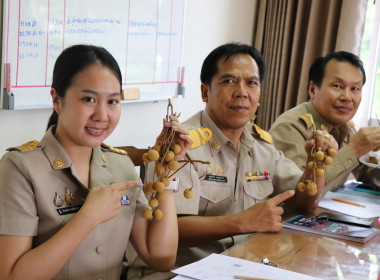 ประชุมแนวทางช่วยเหลือกระจายลำไยภาคเหนือ พารามิเตอร์รูปภาพ 4