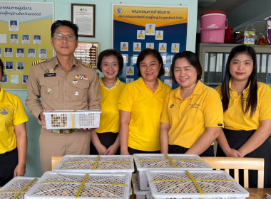 ร่วมกระจายลำไยของเครือข่ายสหกรณ์ภาคเหนือ พารามิเตอร์รูปภาพ 5