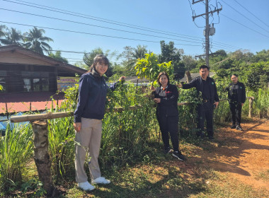 #เยี่ยมชมการประยุกต์ใช้หลักปรัชญาเศรษฐกิจพอเพียงของสมาชิกสหกรณ์ ... พารามิเตอร์รูปภาพ 2