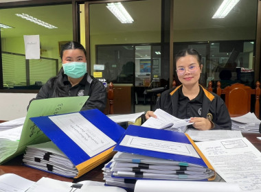 ตรวจการสหกรณ์ออมทรัพย์สาธารณสุขอุตรดิตถ์ จำกัด พารามิเตอร์รูปภาพ 1