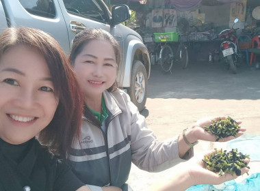 กลุ่มส่งเสริมสหกรณ์ 2 ติดตามการแก้ไขผลงานเลิศรัตน์ ... พารามิเตอร์รูปภาพ 4