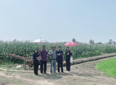 กลุ่มส่งเสริมสหกรณ์ ... พารามิเตอร์รูปภาพ 4