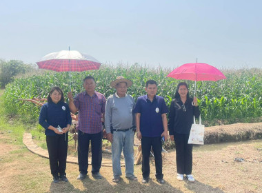 กลุ่มส่งเสริมสหกรณ์ ... พารามิเตอร์รูปภาพ 5